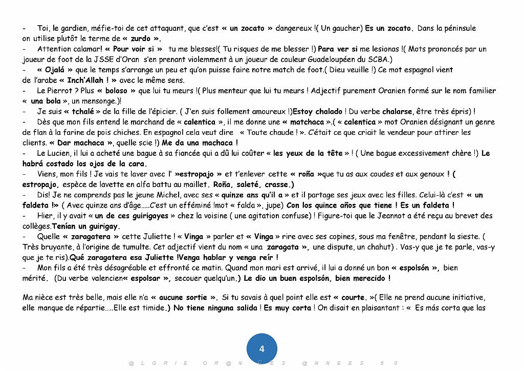 INFLUENCE DE L ESPAGNOL DANS LE FRANCAIS DES HISPANOPHONES ORANIENS_000004.jpg